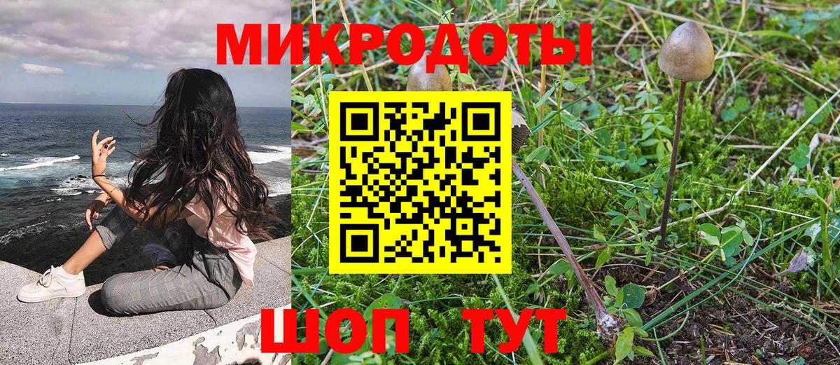 дарнет шоп  Псилоцибиновые грибы MAGIC MUSHROOMS  Вход с VPN  Карпинск 
